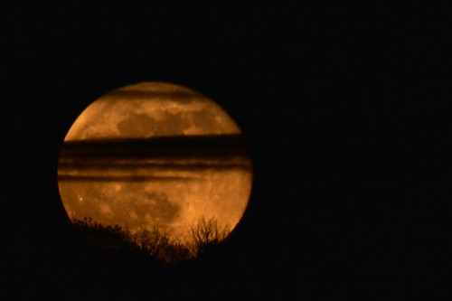 photo de la lune qui se lève masquée par des nuages et des arbres