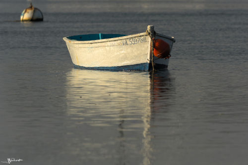 barque et son reflet