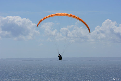 Parapente face aux Ecrehou